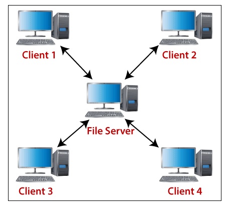 Network Structure